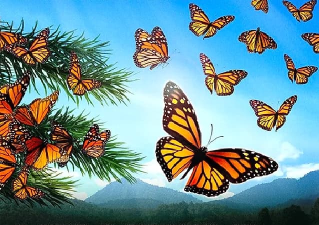 Flight of the Butterflies 3D