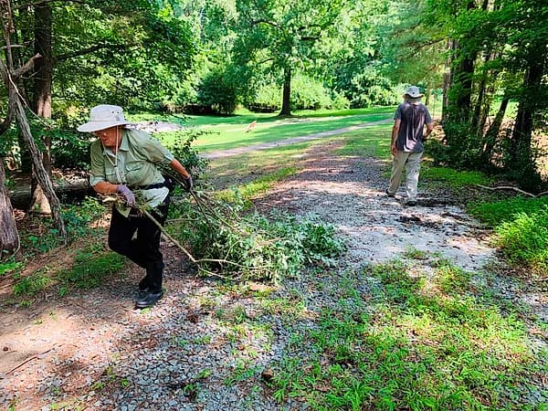Invasive Species Removal Event at Wilson Park