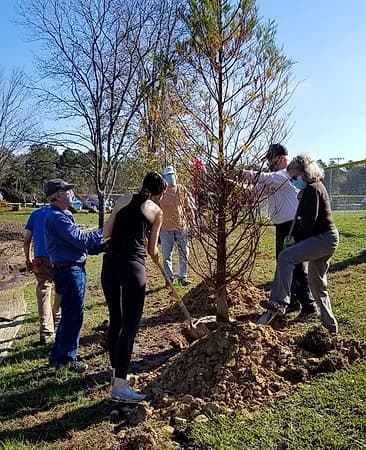 Native Tree Planting at Wilson Park