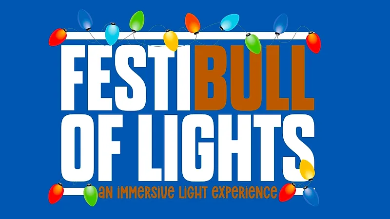 FestiBull of Lights