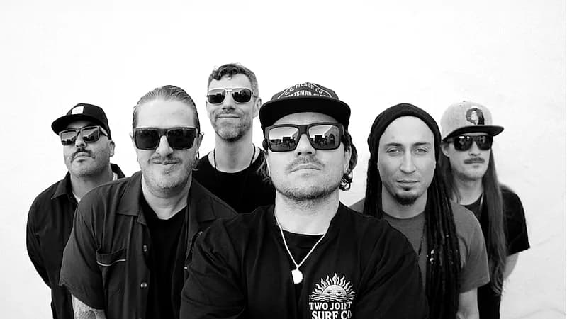 The Elovaters