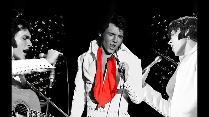 ELVIS: In Person - Starring Matt Stone