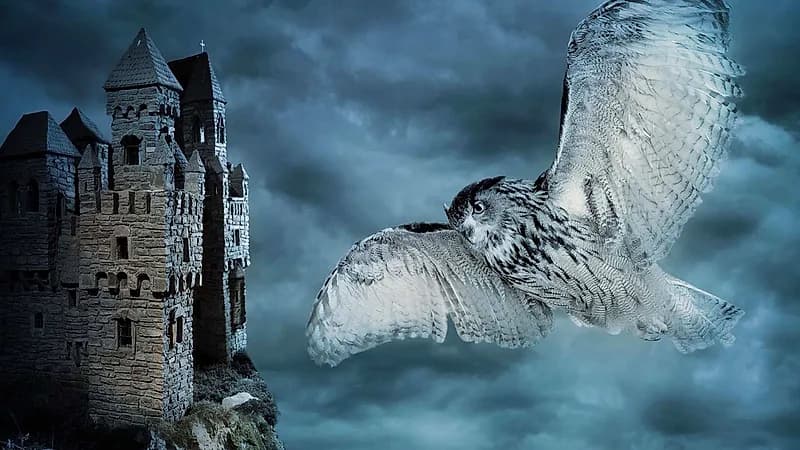 North Carolina Symphony - Halloween At Hogwarts