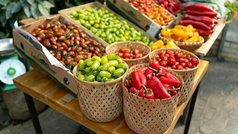 Chapel Hill Farmers' Market (Tuesday Market)