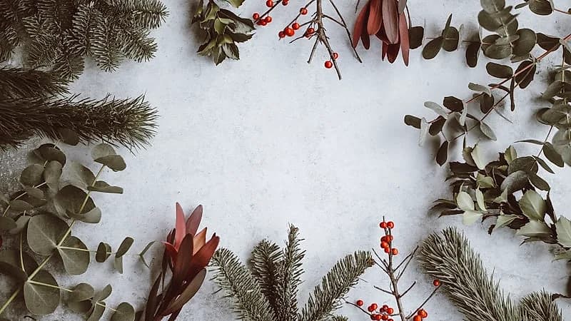 Downtown Cary Tree Lighting & Holiday Parade