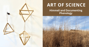 Art of Science: Himmeli and Documenting Phenology